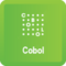 Cobol II. Mierne Pokročilý