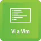 Vi a Vim