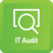 IT Audit