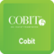 Implementing the NIST Standards Using COBIT 5