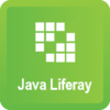 Java XIV. Liferay