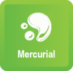 Mercurial II. Mierne Pokročilý